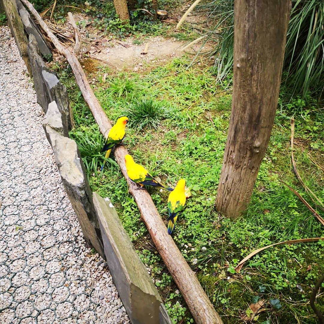 Photo n° 18 de l'avis de Xxx.x fait le 14/08/2020 à 21:01