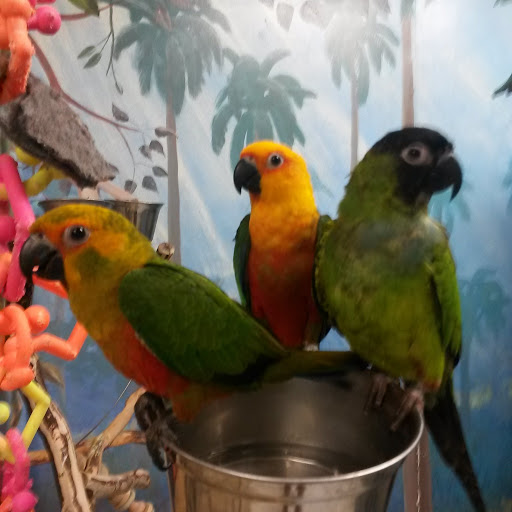 Pet Store «Pet World», reviews and photos, 7585 W 10th Ave, Lakewood, CO 80214, USA