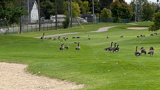 Public Golf Course «The Links at Crystal Lake», reviews and photos, 800 Golf Dr, Pontiac, MI 48341, USA