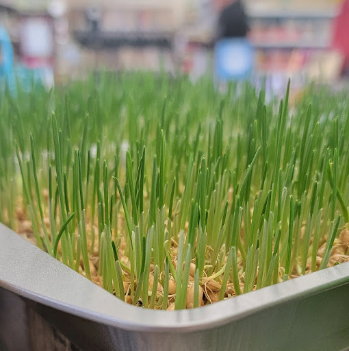 Health Food Store «Sunshine Health Foods», reviews and photos, 111 W 535 S, Cedar City, UT 84720, USA