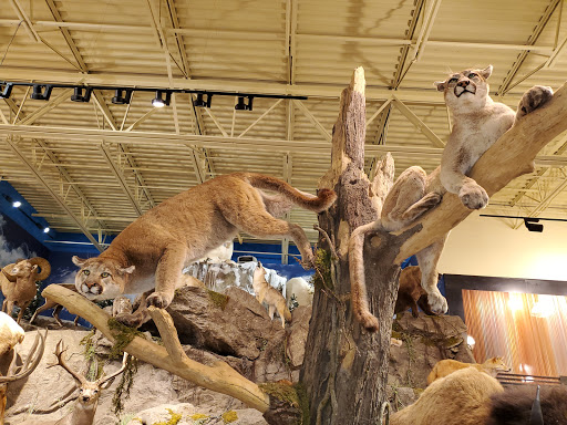 Outdoor Sports Store «Field & Stream», reviews and photos, 2075 Interchange Rd, Erie, PA 16509, USA