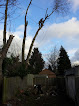 Highbury Tree Services