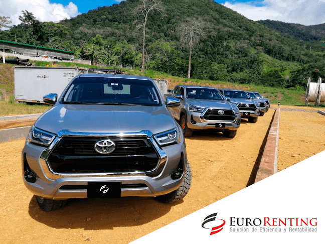 Comentarios y opiniones de EuroRenting Operaciones