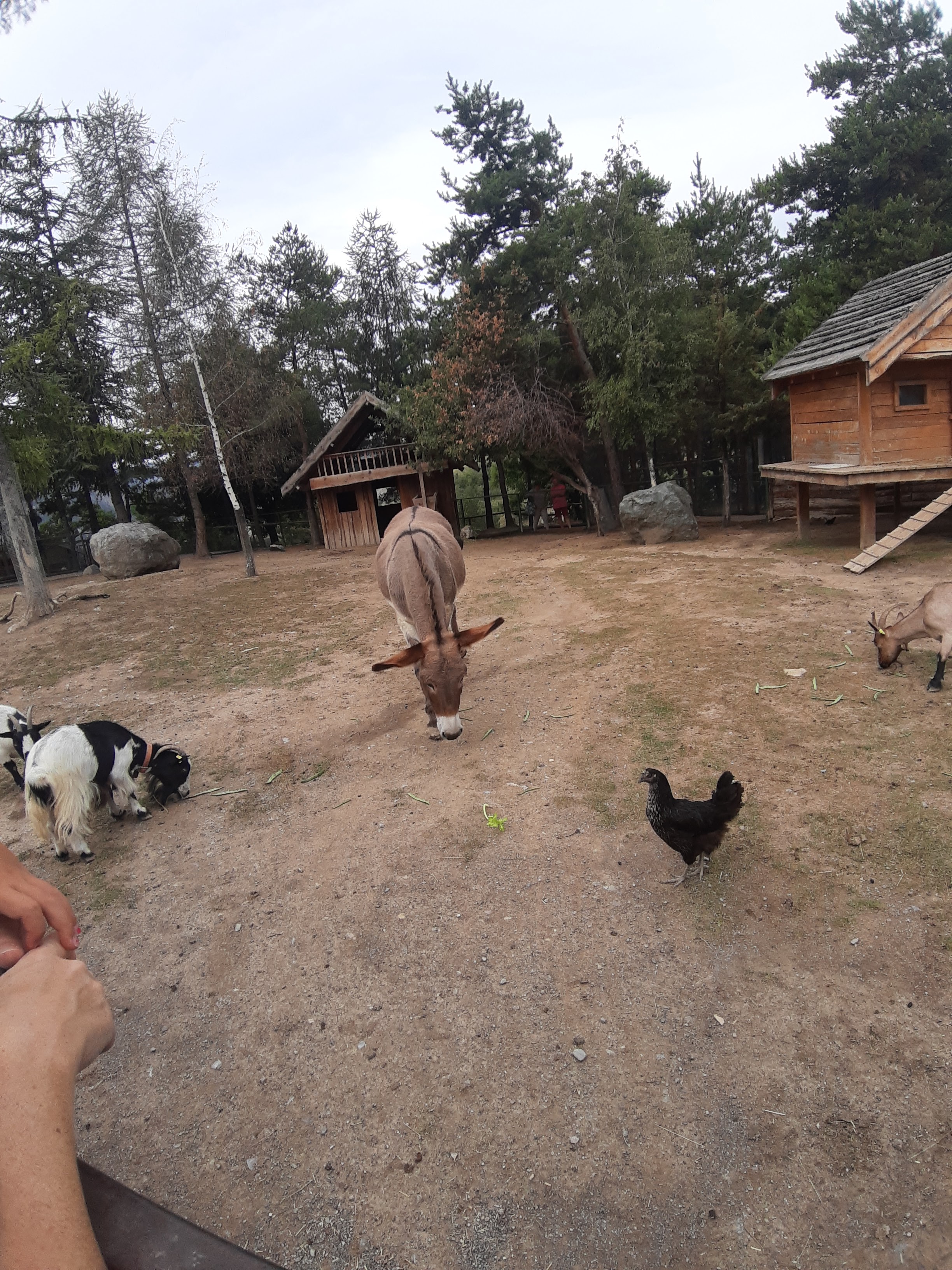 Photo n° 7 de l'avis de Domy. fait le 22/08/2019 à 22:17