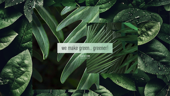 Άνθη Φυτά Γκίκας - Ξάνθη