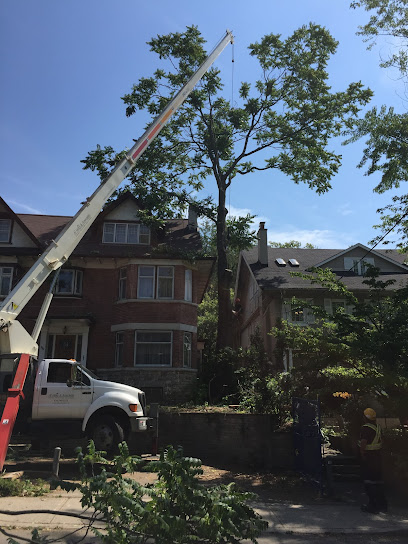 Al Miley Arborist | Tree Removal Toronto