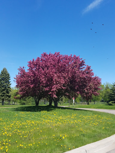 Park «Ridgway Parkway Park», reviews and photos, 3109 Ridgway Pkwy, Minneapolis, MN 55413, USA