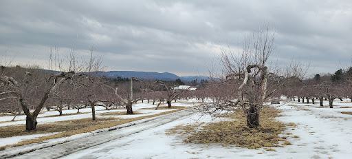 Winery «Furnace Brook Winery», reviews and photos, 508 Canaan Rd, Richmond, MA 01254, USA