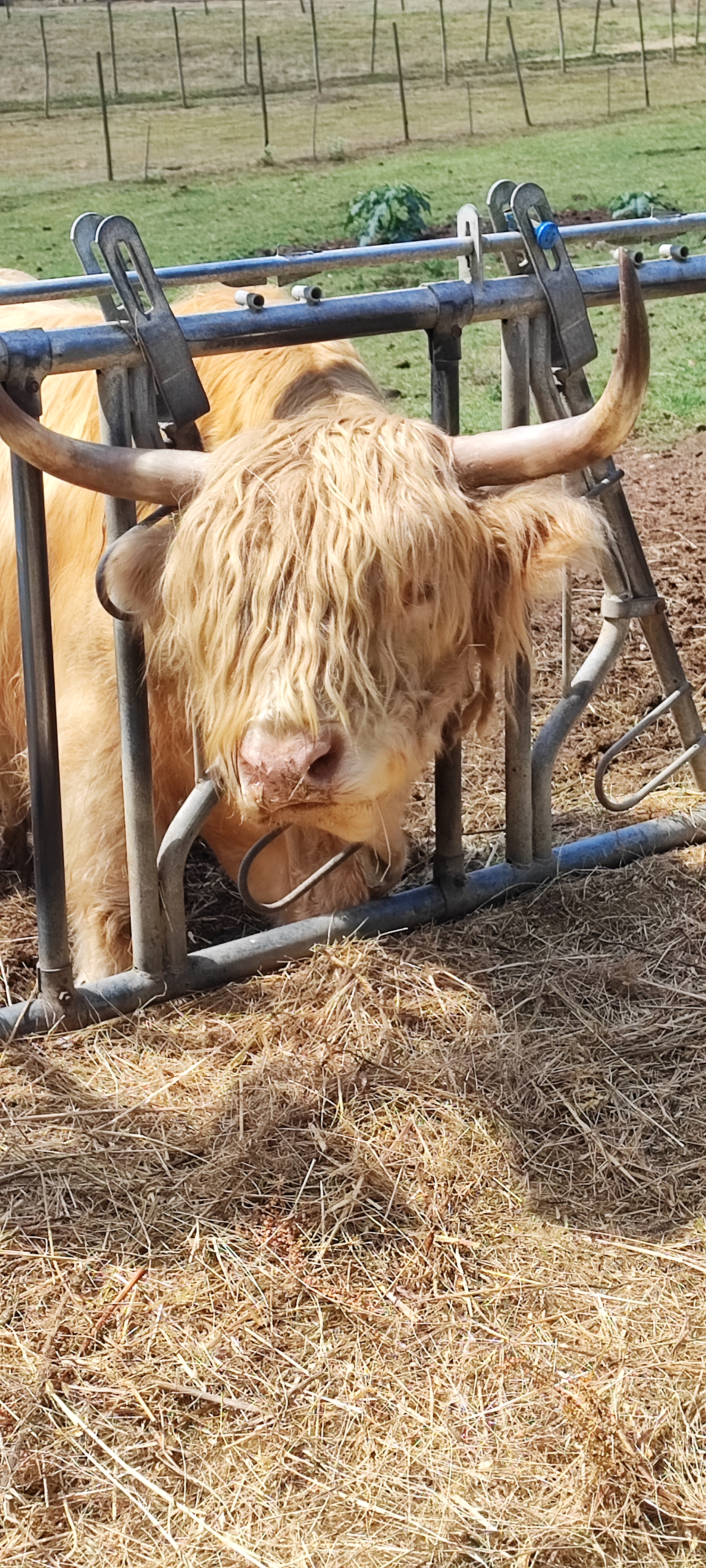 Photo n° 8 de l'avis de Florence.e fait le 15/08/2023 à 17:20