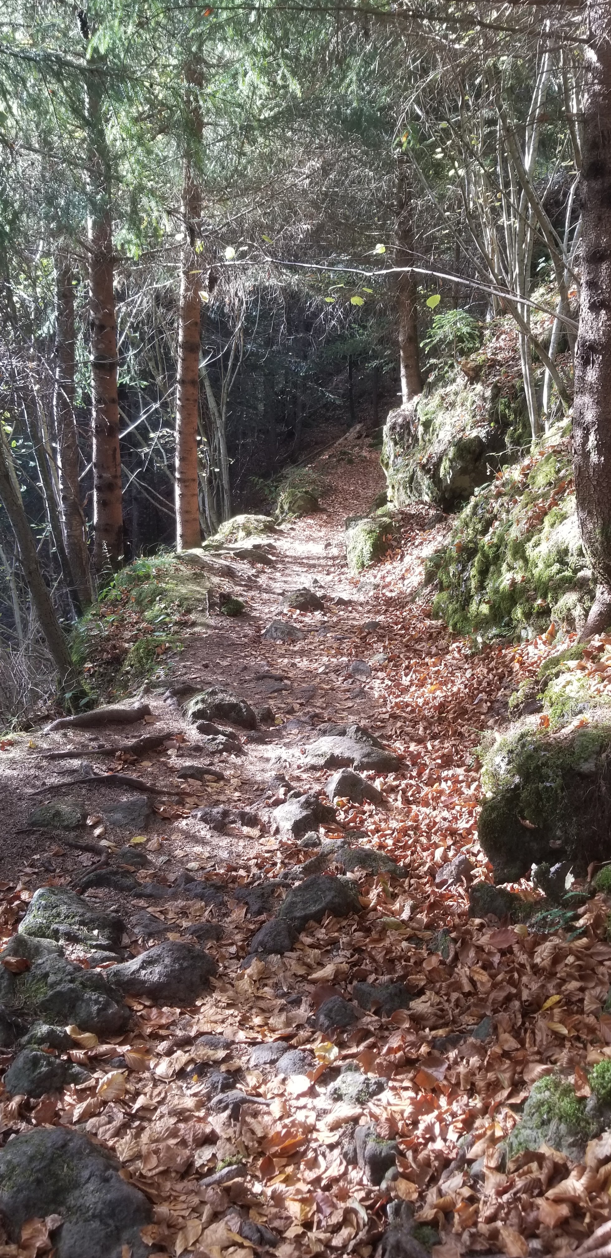 Photo n° 27 de l'avis de Céline.O fait le 31/10/2022 à 19:54