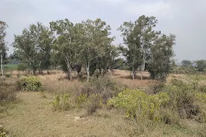 Chhilchhila Wildlife Sanctuary image