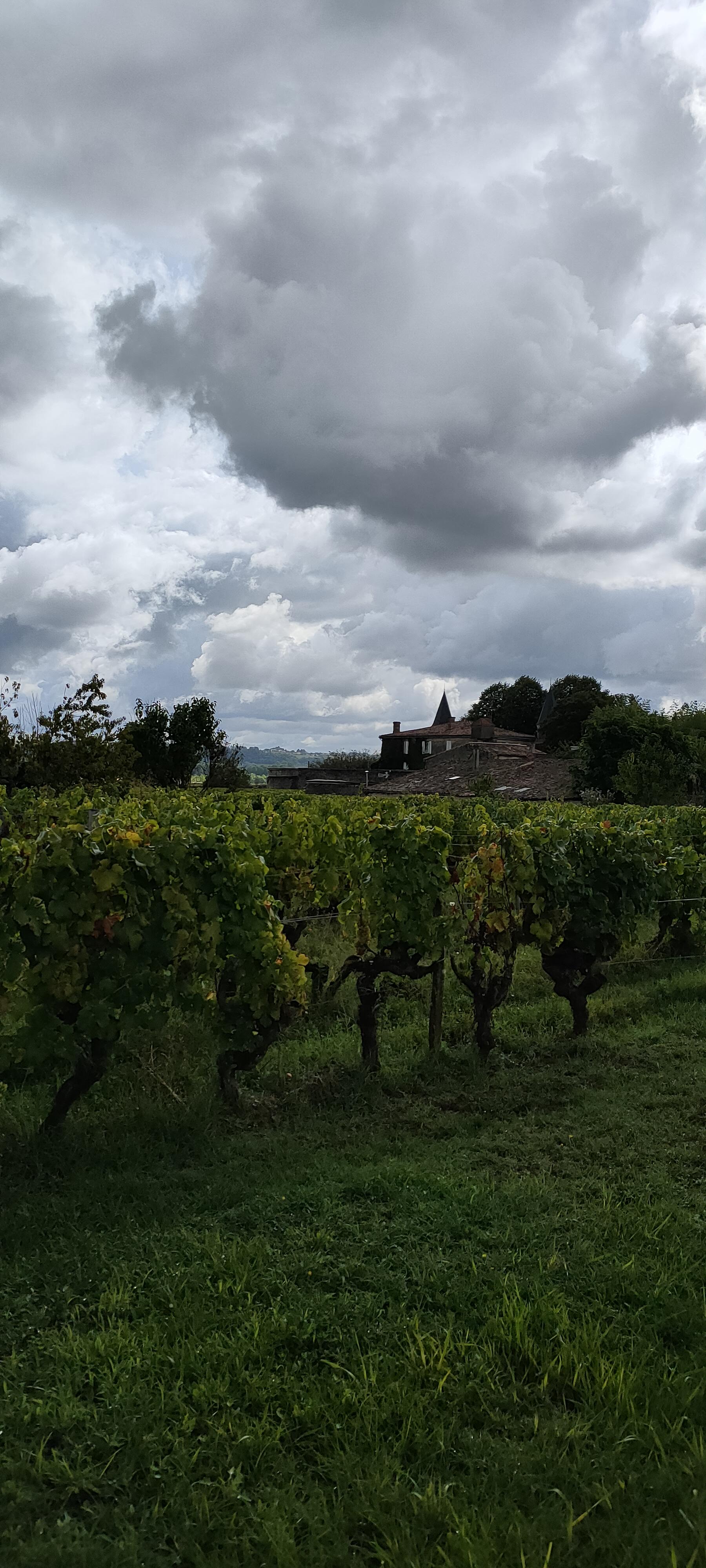 Photo n° 5 de l'avis de Laure.o fait le 27/08/2023 à 13:22