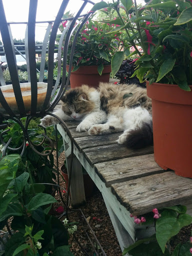 Hardware Store «Parco Home Center Inc.», reviews and photos, 2950 Williams Dr, Georgetown, TX 78628, USA