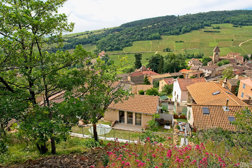 Le Jardin des Berthelots à Solutré-Pouilly