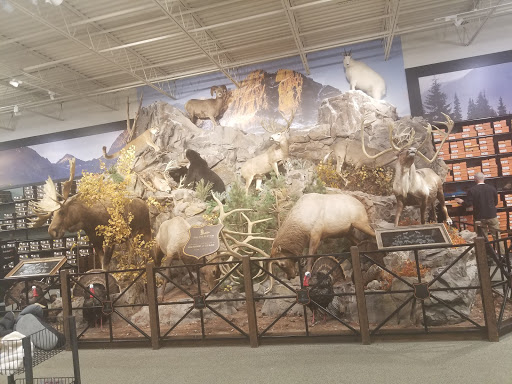 Outdoor Sports Store «Field & Stream», reviews and photos, 870 Walt Whitman Rd Ste B, Melville, NY 11747, USA
