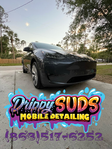 Drippy Suds Mobile Detailing LLC en LaBelle