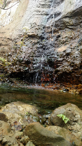 Roofing Contractor «A Good Roof», reviews and photos, 5815 Sea View Ave, Tillamook, OR 97141, USA