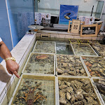 Photo n°1 de l'avis de Erica.r fait le 28/07/2023 à 17:22 sur le  LA COZZA D'ORO RESTAURANT à Augusta