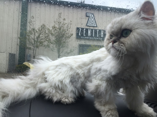 Rock Climbing Gym «Zenith Climbing Center», reviews and photos, 3534 E Sunshine St #3, Springfield, MO 65804, USA