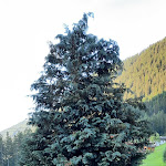 Photo n°10 de l'avis de Thierry.S fait le 05/07/2022 à 16:13 sur le  Hotel Kaserhof à Mühlbach