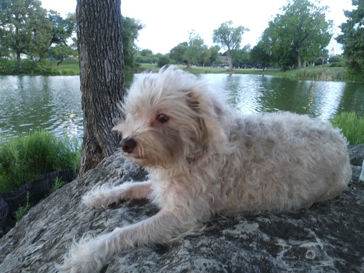 Park «Lake Cliff Park», reviews and photos, 300 E Colorado Blvd, Dallas, TX 75201, USA