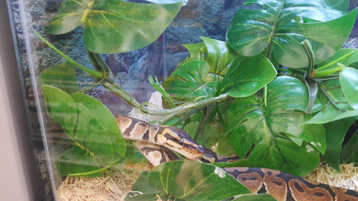 Pet Supply Store «Petco Animal Supplies», reviews and photos, 859 Kings Creek Dr, Tupelo, MS 38804, USA