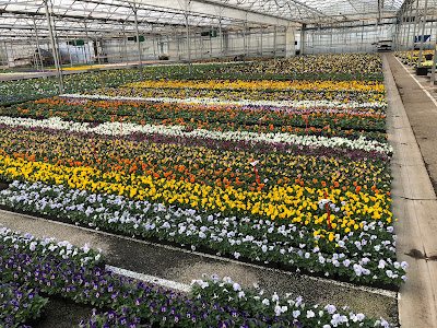 BENOIST Horticulture à Faremoutiers