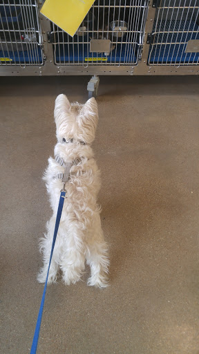 Pet Supply Store «Petsense Fort Worth», reviews and photos, 1408 Eastchase Pkwy #100, Fort Worth, TX 76120, USA