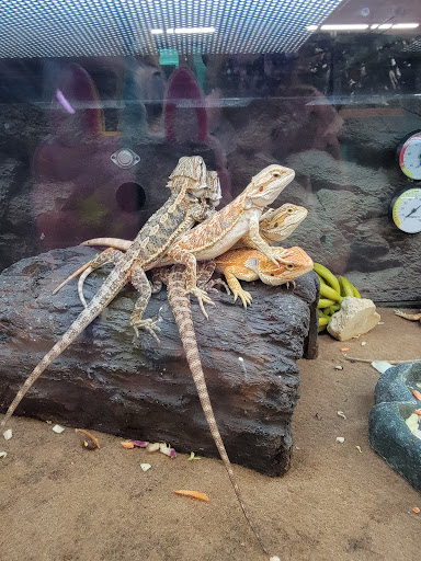 Pet Supply Store «Petco Animal Supplies», reviews and photos, 3444 S Mooney Blvd, Visalia, CA 93277, USA