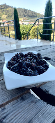 Plats et boissons Alojamento com cozinha Soalheira Douro House 5085-100 Vila Real