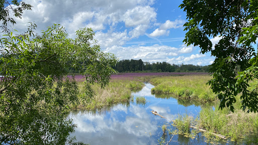 Oaks Bottom Wildlife Refuge