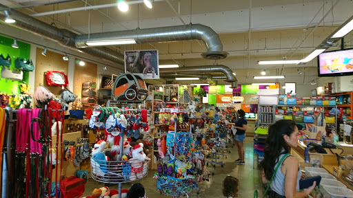 Pet Supply Store «Dog Bar», reviews and photos, 1684 Jefferson Ave, Miami Beach, FL 33139, USA