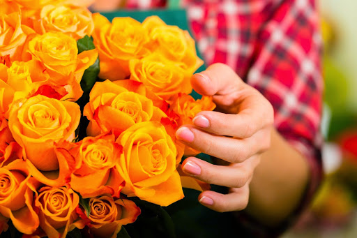 Florist «West Knoxville Florist», reviews and photos, 10229 Kingston Pike, Knoxville, TN 37922, USA