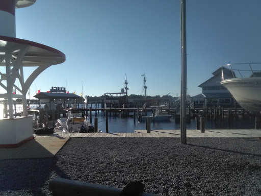 Tourist Attraction «Sea Dragon Pirate Cruise», reviews and photos, 5325 N Lagoon Dr, Panama City, FL 32408, USA