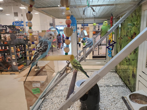 Pet Supply Store «PetSmart», reviews and photos, 1236 Greenbrier Pkwy, Chesapeake, VA 23320, USA