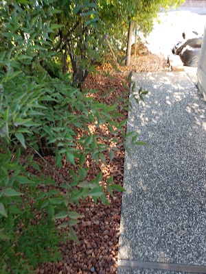 Lakeview Village Mobile Home - photo 16