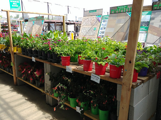 Home Improvement Store «Menards», reviews and photos, 2700 W Lake Cook Rd, Long Grove, IL 60047, USA