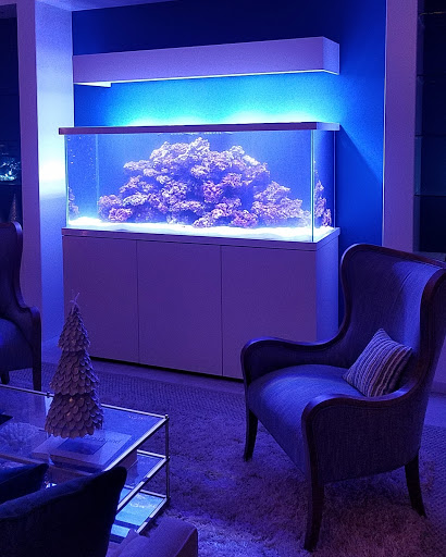 Pet Store «Tanks A Lot Aquariums», reviews and photos, 6680 Lantana Rd, Lake Worth, FL 33467, USA