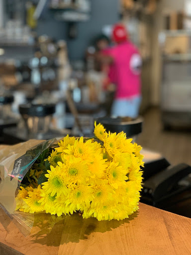 Coffee Shop «Siphon Coffee», reviews and photos, 701 W Alabama St, Houston, TX 77006, USA