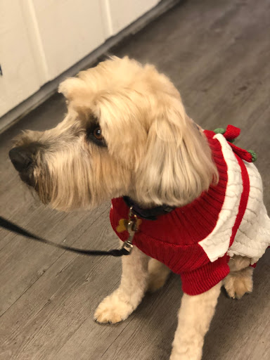 Pet Supply Store «Sonoma Pet and Aquatics», reviews and photos, 201 W Napa St #7, Sonoma, CA 95476, USA