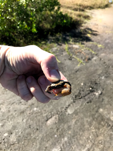 Recreation Center «Jackson Springs Recreation Center», reviews and photos, 8620 Jackson Springs Rd, Tampa, FL 33615, USA