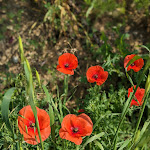 Photo n°5 de l'avis de Tanja.l fait le 29/05/2023 à 20:07 sur le  Azienda Agricola CasaMatta B&B à Calenzano