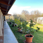 Photo n°8 de l'avis de Luca.c fait le 09/04/2023 à 08:31 sur le  Dom Bistrò à Sgonico