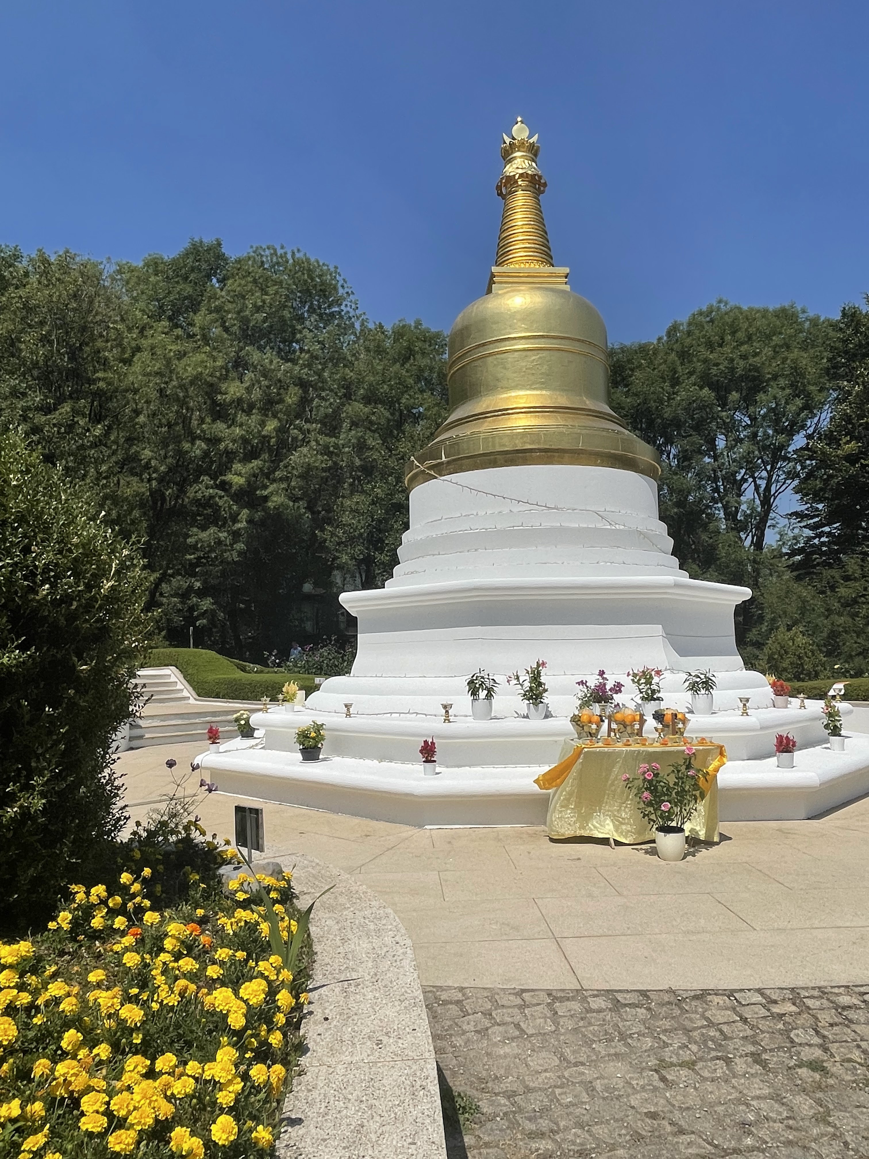 Photo n° 4 de l'avis de Romane.r fait le 13/08/2022 à 16:40