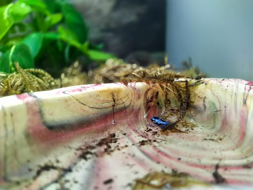 Pet Supply Store «Petco Animal Supplies», reviews and photos, 1311 E Army Post Rd, Des Moines, IA 50315, USA