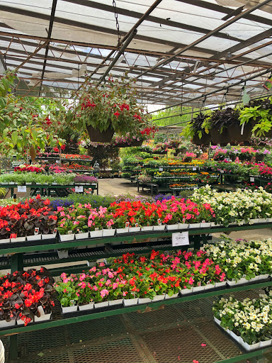 Plant Nursery «Orchard Nursery and Florist», reviews and photos, 4010 Mt Diablo Blvd, Lafayette, CA 94549, USA