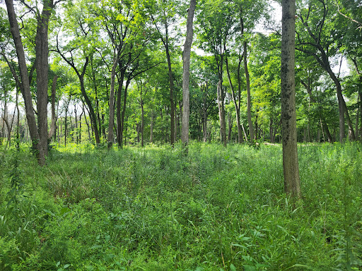 Nature Preserve «Half Day Forest Preserve», reviews and photos, 24255 IL-21, Vernon Hills, IL 60060, USA