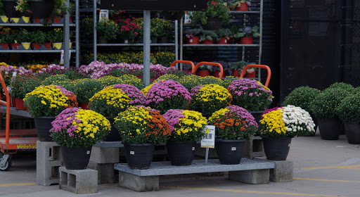 Home Improvement Store «The Home Depot», reviews and photos, 909 Washington St, Middletown, CT 06457, USA