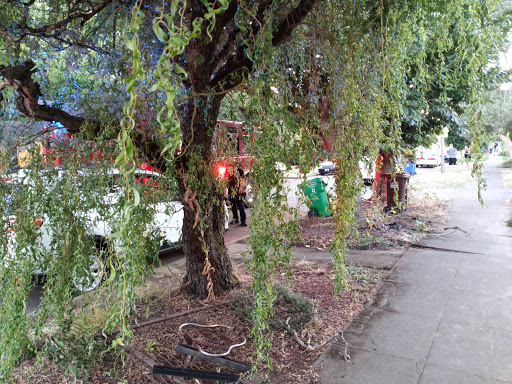 Paint Store «Miller Paint Company», reviews and photos, 1510 N Alberta St, Portland, OR 97217, USA