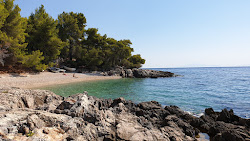 Bile beach'in fotoğrafı vahşi alan